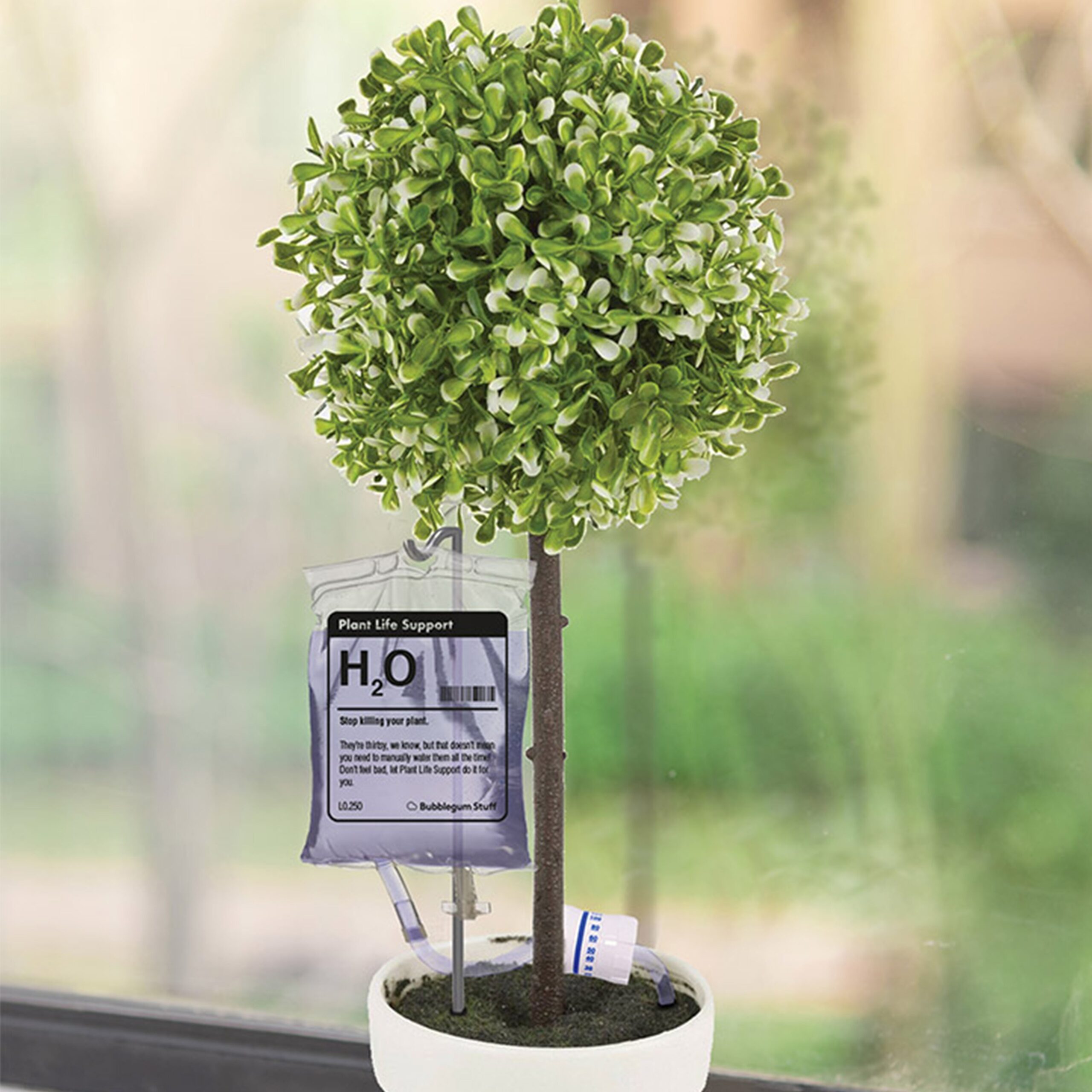 Pflanzen am Tropf: Wenn der Ficus eine Sonderschicht braucht