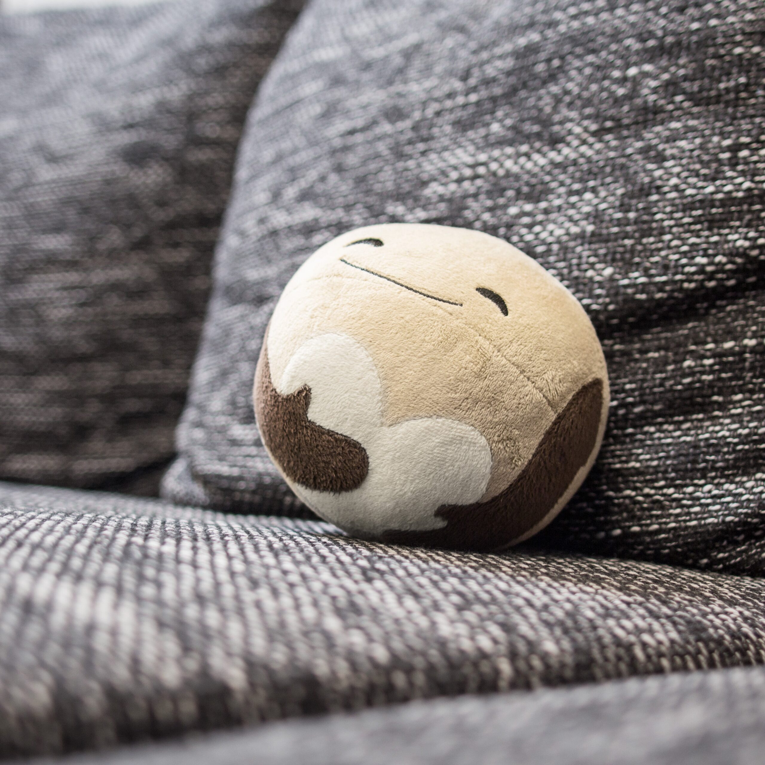 Pluto aus Plüsch: Kleinster Gast auf dem Sofa, großes Herz